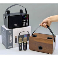 Loa karaoke mini bluetooth kèm 2 mic, công suất 40W