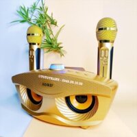 Loa karaoke mini di động SD-306 loa hát karaoke đa năng + Tặng Kèm 2 Mic Không Dây
