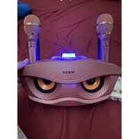 Loa karaoke mini di động SD-306 loa hát âm lớn, hát karaoke hay/Tặng Kèm 2 Mic Không Dây