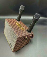 Loa karaoke mini gia đình giá rẻ