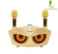 Loa karaoke mini SD306 Plus