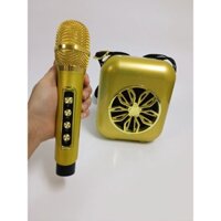 LOA KARAOKE MINI YS_A20_KÈM 1 MIC_CÓ DÂY ĐEO