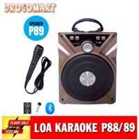 Loa karaoke P88/89