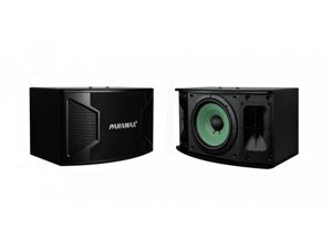 Loa karaoke Paramax P-1500