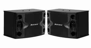 Loa Paramax P-500