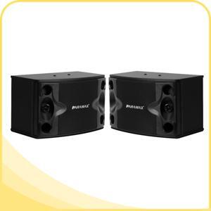 Loa Paramax P-500
