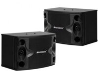 LOA KARAOKE PARAMAX P-500