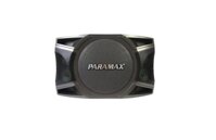 Loa Karaoke Paramax P1000 New 2018