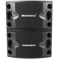 Loa Karaoke Paramax P300