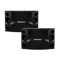 Loa karaoke Paramax P500