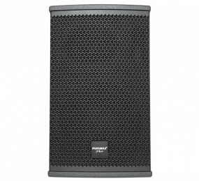 Loa karaoke Paramax Pro S15