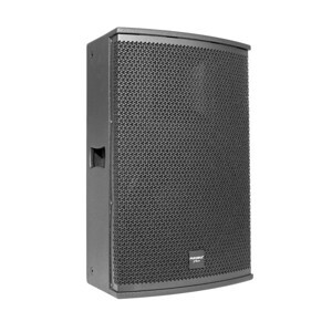 Loa karaoke Paramax Pro S15
