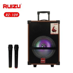 Loa karaoke Ruizu RZ-109