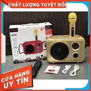 Loa karaoke SD501
