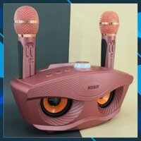 Loa karaoke SDRD 306, Loa karaoke bluetooth mini di động, Tặng Kèm 2 Micro  không Dây, Công suất lớn, loa to, hát hay