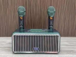Loa karaoke SDRD SD-319