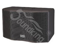 Loa karaoke Soundking SK10