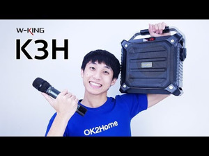 Loa karaoke W-King K3H