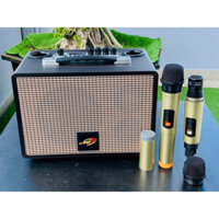 Loa Karaoke Xách Tay AT T6, 1 Bass 16, 1 Treble, Công Suất 100W, Tặng Kèm 2 Micro Không Dây Hát Karaoke Cực Hay