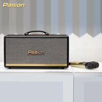 Loa karaoke xách tay cao cấp chính hãng Paramax Pasion 2 (Loa 3 đường tiếng, 1 loa bass 25cm, 1 treble , 1 Mid, 2 Micro)