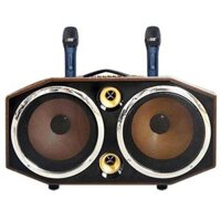 Loa Karaoke Xách Tay SUYANG PX-102