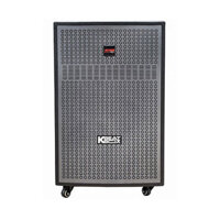 Loa kéo ACNOS CB405G, bass mạnh mẽ, tích hợp vang số