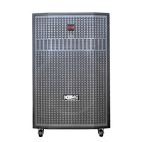 Loa Kéo Acnos CB56GD ( Bass 50cm, 200W/800W, Bluetooth 5.0, Kèm 2 Micro)