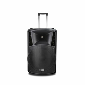 Loa kéo Audiofrog Pro P15