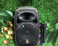 Loa kéo AVcrown CH-M08. (Bass 20, bluetooth, 1 mic, 50W)