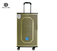 Loa Kéo AZPro 218 – Bass 25cm