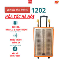 Loa kéo Bass 30 chính hãng ONTEKCO 1202/8002 kèm 2 mic, hát karaoke trong nhà, ngoài trời cực hay