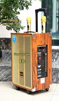 loa kéo bass 30 hàng chính hãng bảo hành dài hạn BNIB M12
