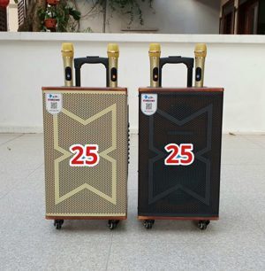 Loa Kéo Bluetooth AZpro AZ 1095 Bass 25