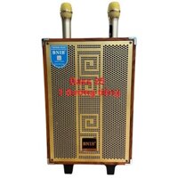 Loa kéo Bluetooth B10,Chính hãng BNIB,Bass 25-3 đường tiếng thùng gỗ cao cấp kèm 2 mic