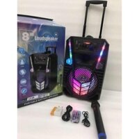 Loa kéo Bluetooth DS06 LT-V8 (Có micro + remote + đèn LED + thẻ nhớ + usb)