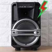 Loa Kéo Bluetooth Karaoke Enkor L0810K