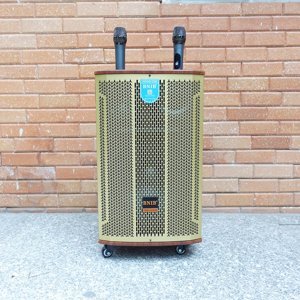 Loa kéo BNIB 1299 bass 30