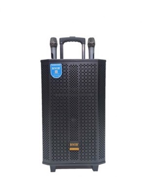 Loa kéo BNIB 1299 bass 30