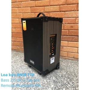 Loa kéo BNIB T10