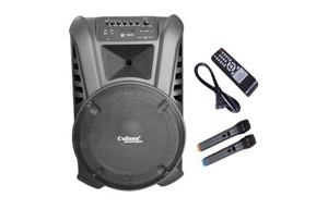 Loa kéo Caliana Electronics TN10