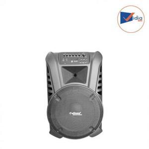 Loa kéo Caliana Electronics TN10