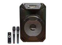 Loa kéo Caliana TN15C