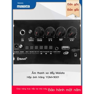 Loa Kéo Cao Cấp Mini Malata Y6