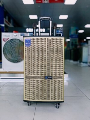 Loa kéo Cmaudio CM1255