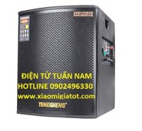 Loa kéo công suất lớn Temeisheng Pro GD 15-03