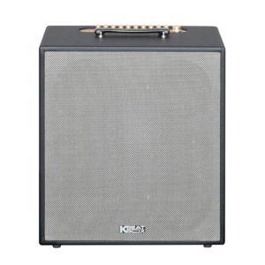Loa kéo di động Acnos KBeatBox CS550