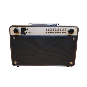 Loa kéo di động BOXT Q9S