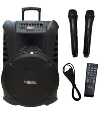 Loa kéo di động CALIANA TN15 + 2 Mic