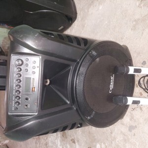 Loa kéo di động Caliana TN15B