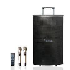 Loa kéo di động Caliana WD-15A 4 tấc